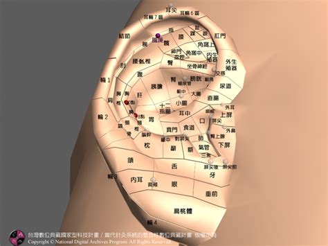 風溪|【風溪】風溪穴：你的救星！告別頭痛、暈眩、失眠！ – 每日新聞。